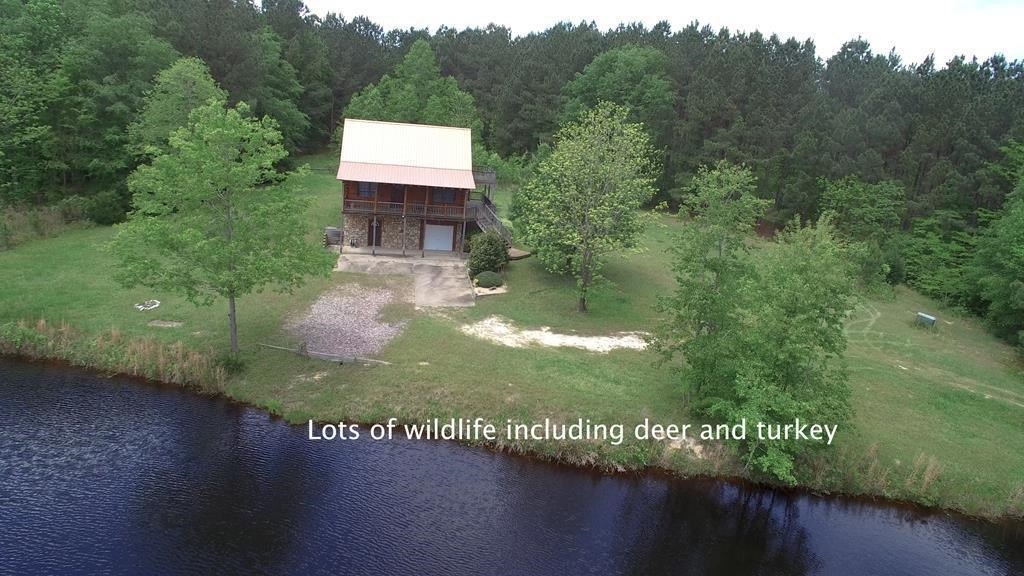 317 Bland Baptist Road Johnston, SC 29832 - Photo 2 of 37 Gallery Image 2