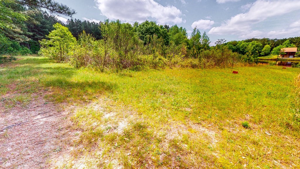 317 Bland Baptist Road Johnston, SC 29832 - Photo 32 of 37 Gallery Image 32