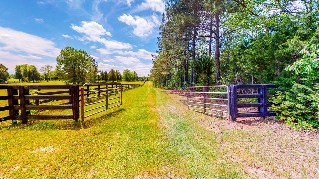 317 Bland Baptist Road Johnston, SC 29832 - Photo 33 of 37 Gallery Image 33
