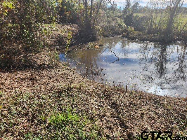 584 County Road 302 Carthage, TX 75633 - Photo 26 of 27 a view of a yard with large trees