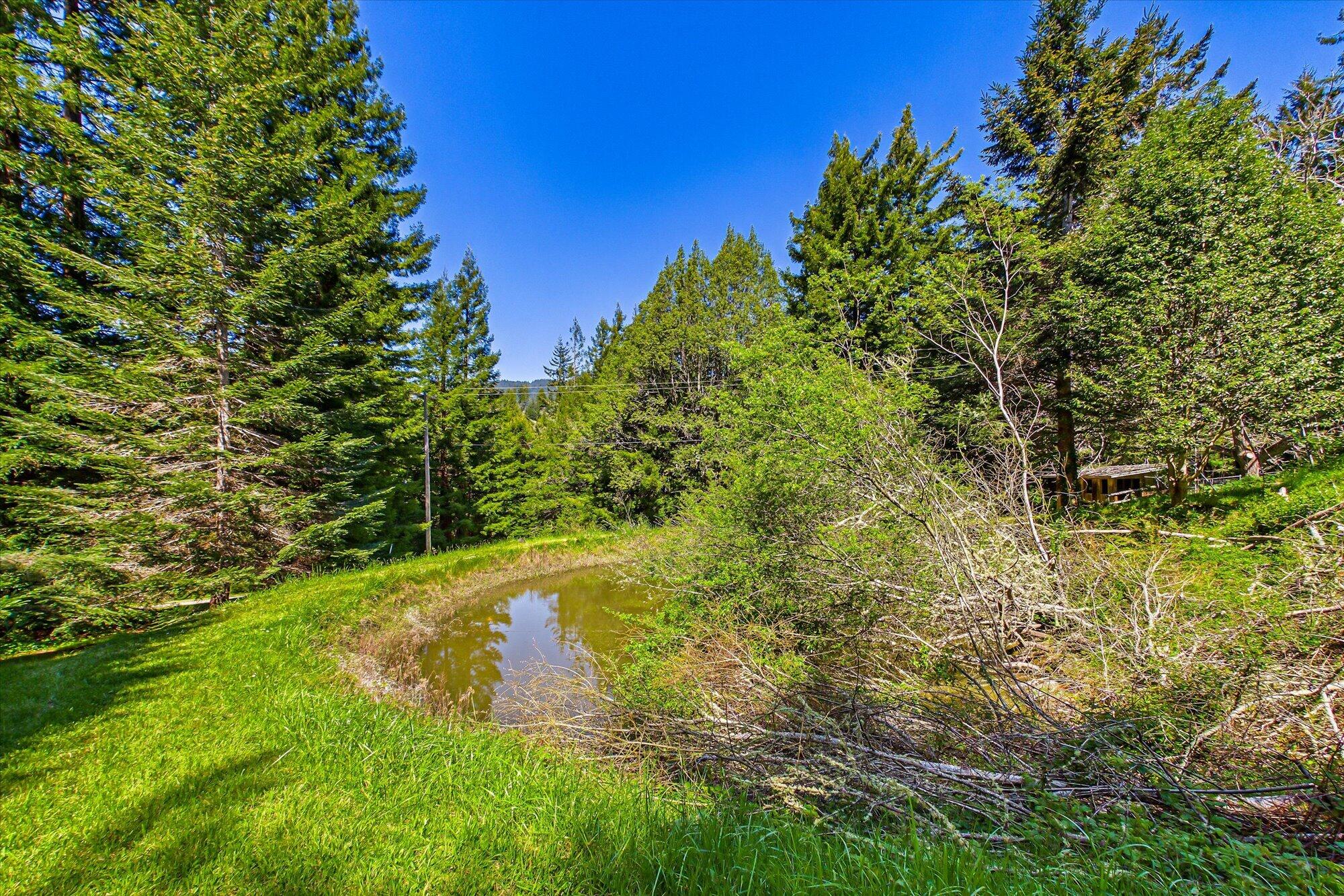 1430 Fox Creek Road Carlotta, CA 95528 - Photo 75 of 76