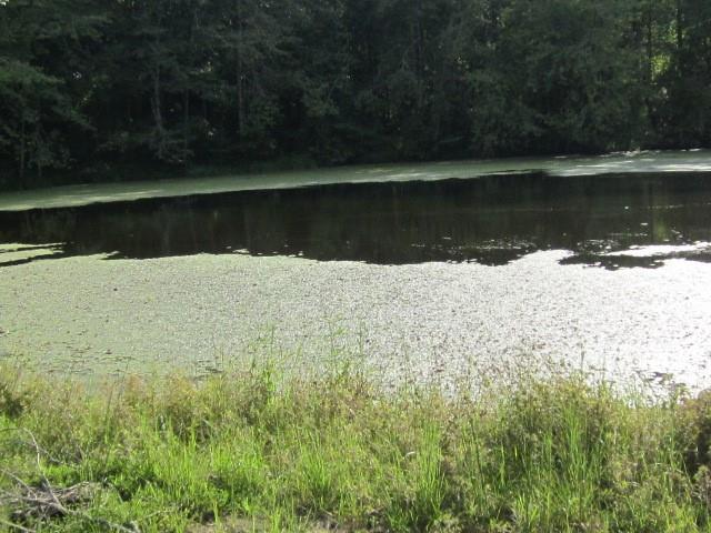 3415 Bowman Road Granite Falls, NC 28630 - Photo 5 of 5 Gallery Image 5