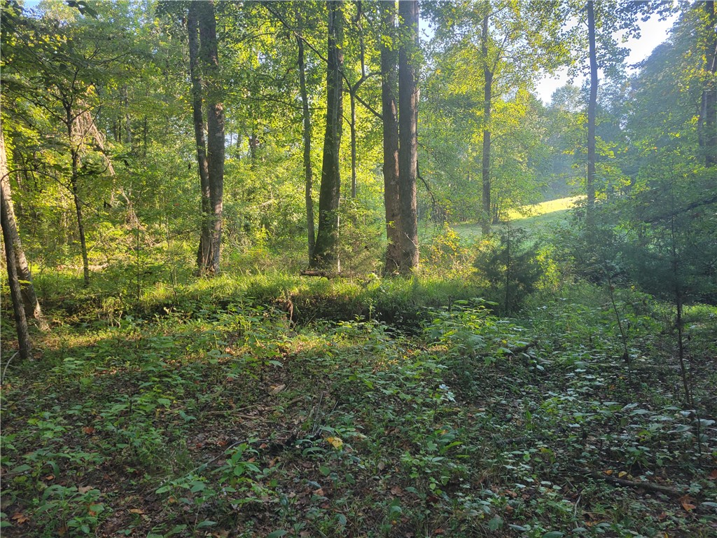 381 West Bryant Road West Union, SC 29696 - Photo 22 of 27