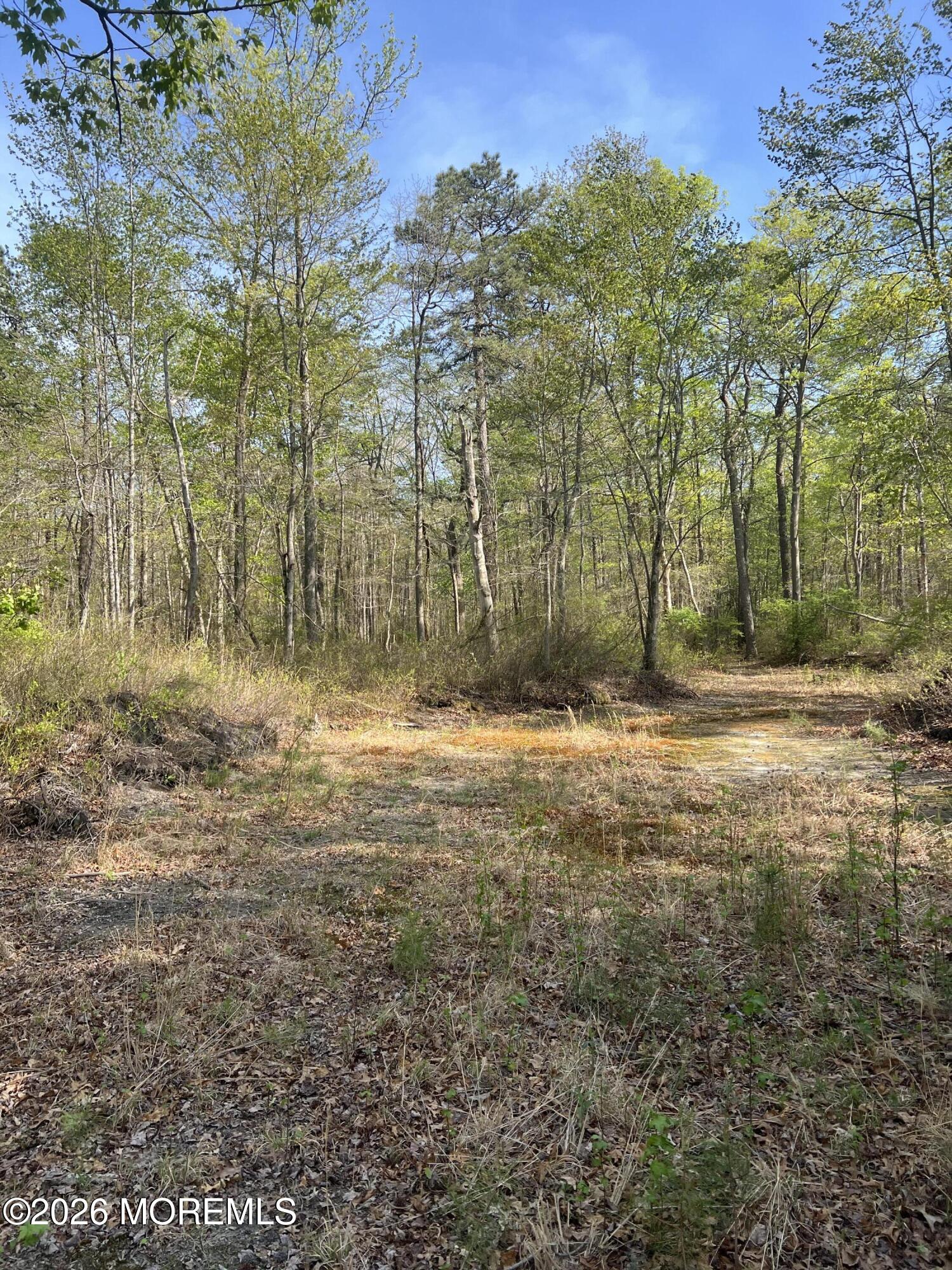 36 Freehold Road Jackson, NJ 08527 - Photo 8 of 10 IMG_8534