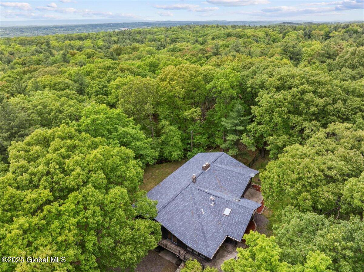 100 Schnackenberg Road Ghent, NY 12075 - Photo 4 of 62 03-DJI_20250521150643_0833_D_DIGITAL
