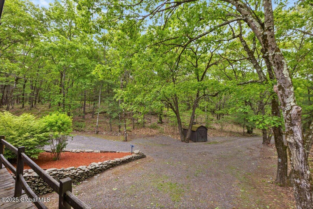 100 Schnackenberg Road Ghent, NY 12075 - Photo 56 of 62 43-ES6A7493