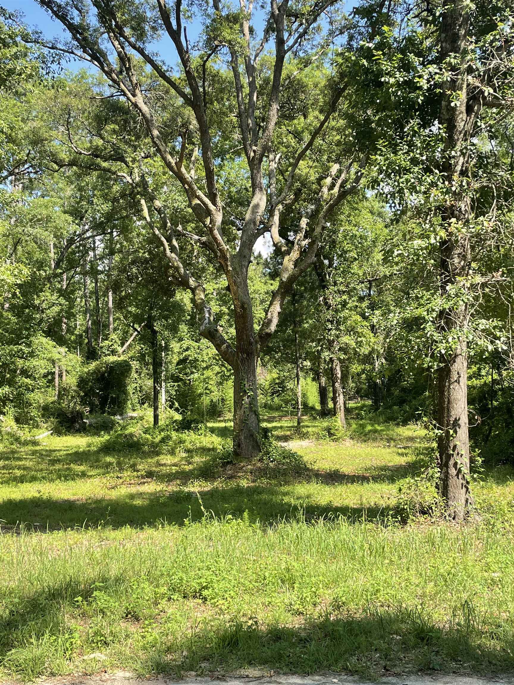 13150 Woodhaven Dairy Road East Silverhill, AL 36576 - Photo 1 of 4 Main from Street