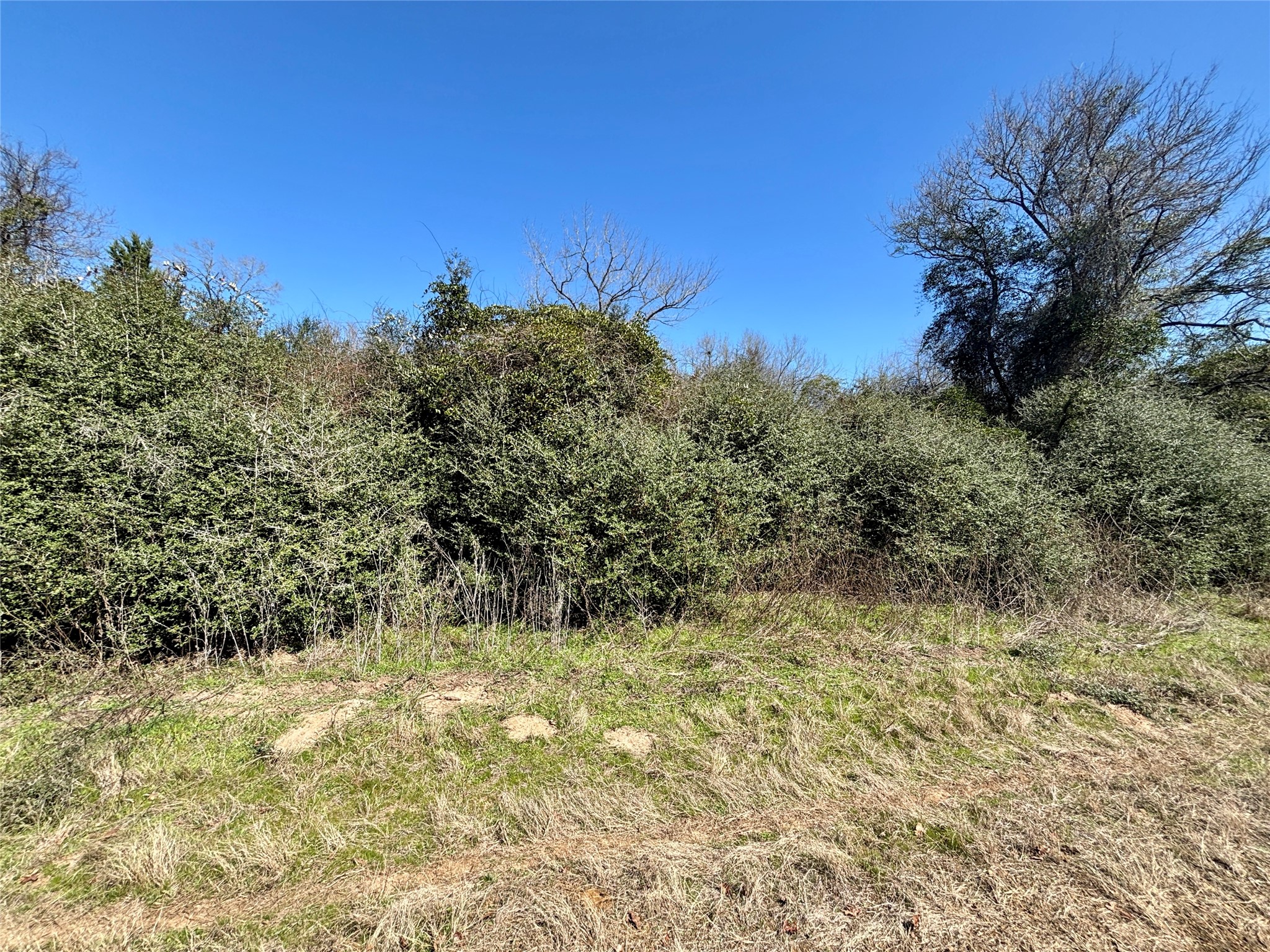 Tbd Sycamore Branch Road Normangee, TX 77871 - Photo 3 of 8 Gallery Image 3