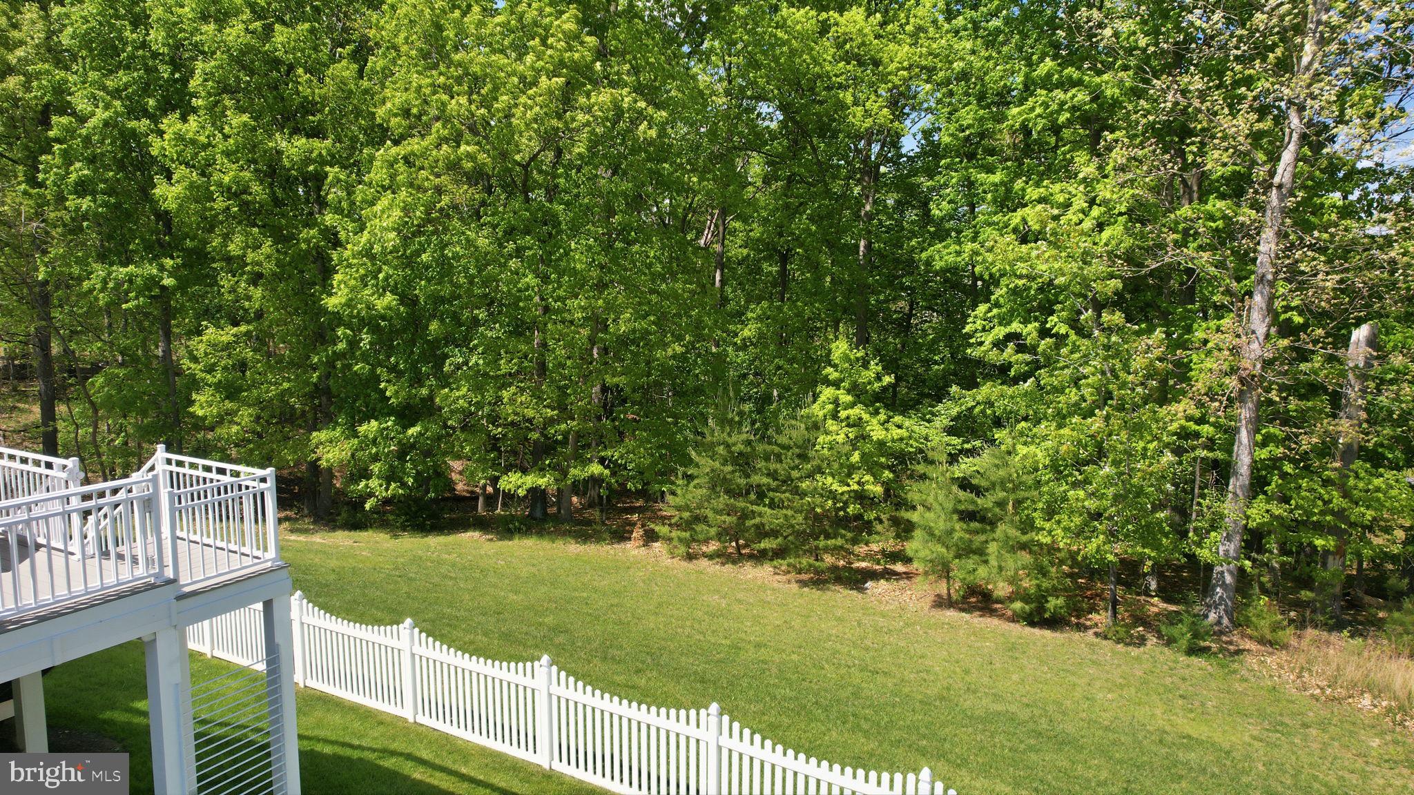 105 Turnstone Lane White Post, VA 22663 - Photo 19 of 82 Rear view