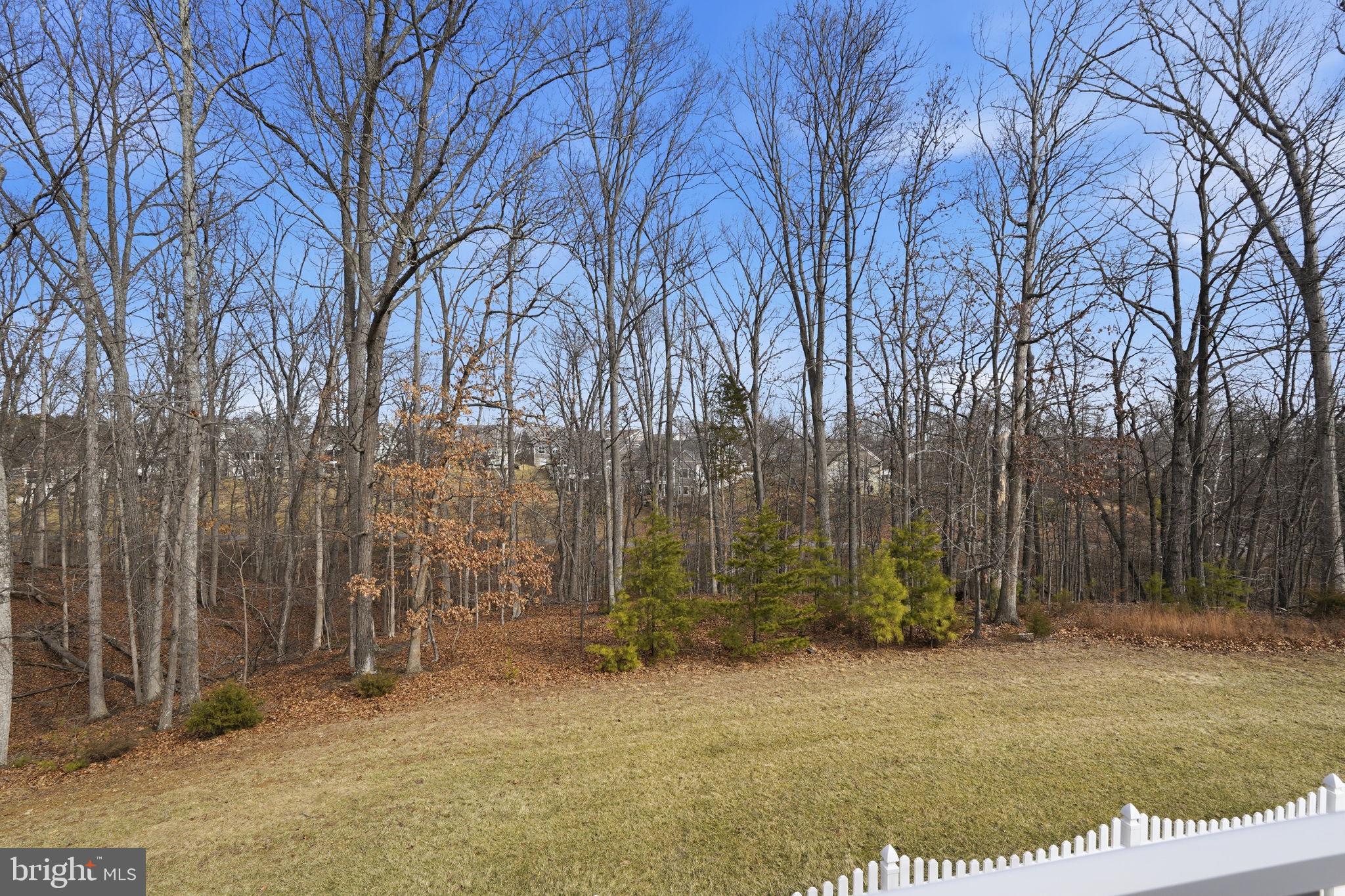 105 Turnstone Lane White Post, VA 22663 - Photo 39 of 77 a backyard of a house with lots of green space