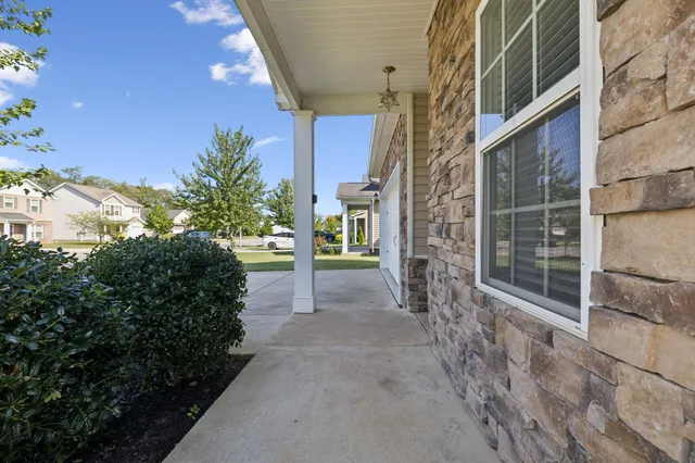 a view of backyard with plants