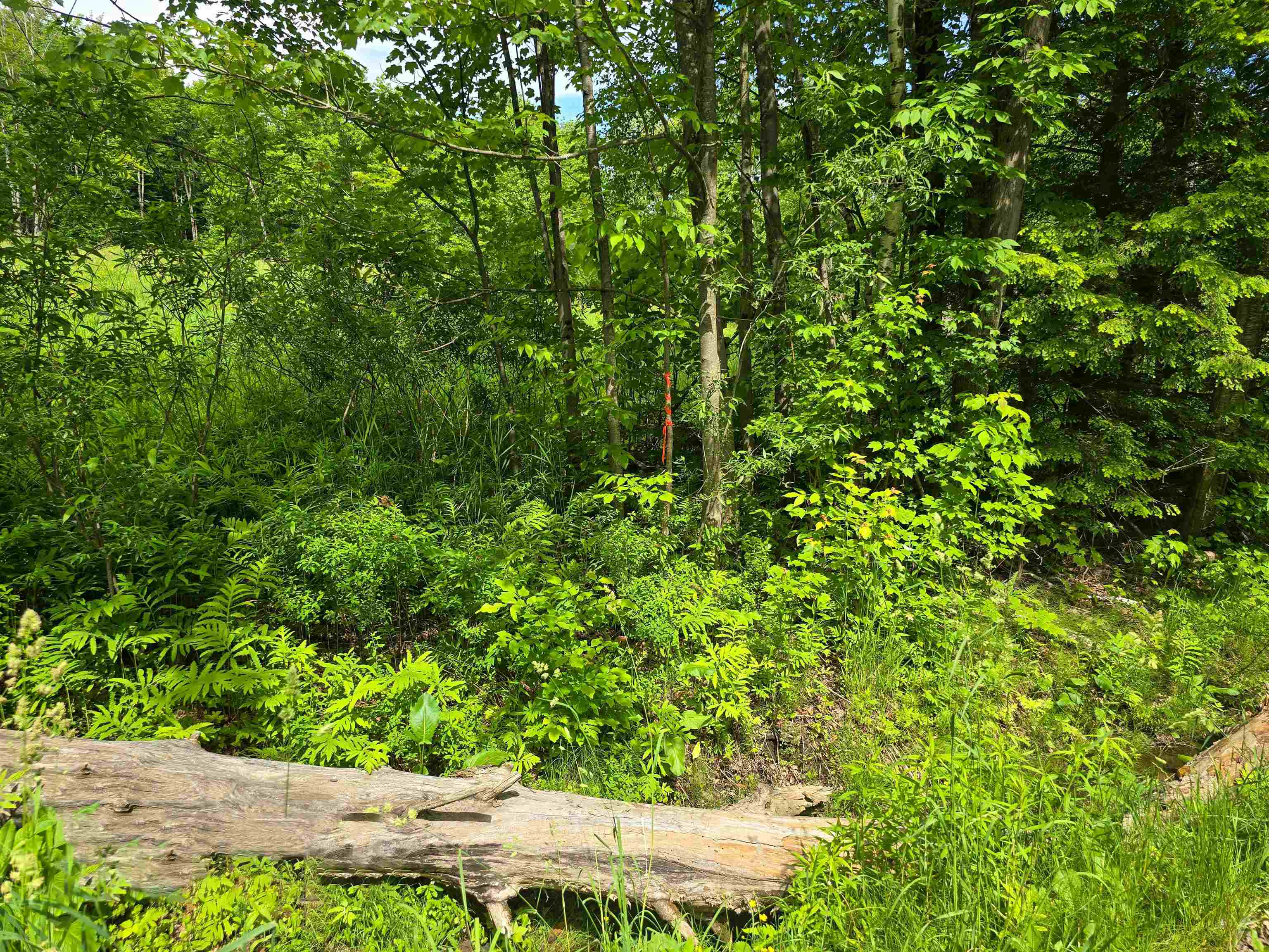 433 Wightman Hill Road Richford, VT 05476 - Photo 44 of 44