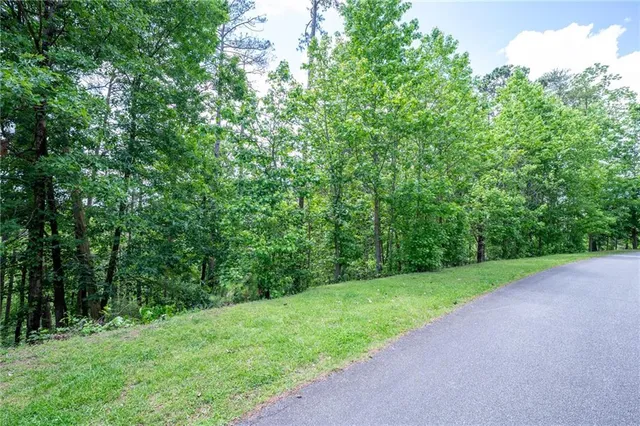 a view of a yard with a trees