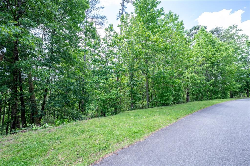 25 Sunset Ridge Cartersville, GA 30121 - Photo 13 of 16 a view of a yard with a trees
