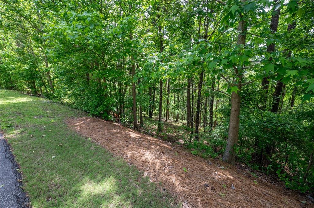 25 Sunset Ridge Cartersville, GA 30121 - Photo 14 of 16 a view of a yard with large trees
