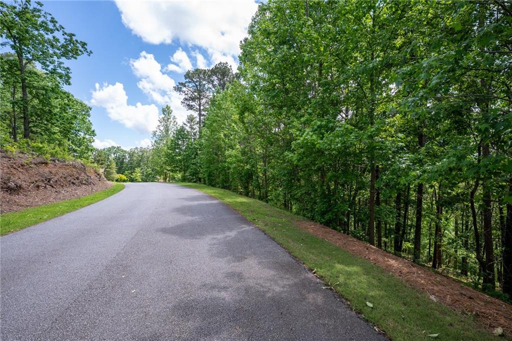 25 Sunset Ridge Cartersville, GA 30121 - Photo 15 of 16 a view of a road with a yard