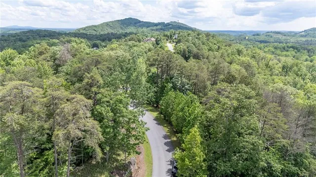 a view of a lush green forest with trees and houses
