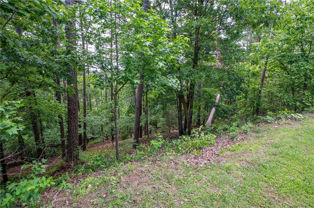 25 Sunset Ridge Cartersville, GA 30121 - Photo 9 of 16 a view of forest
