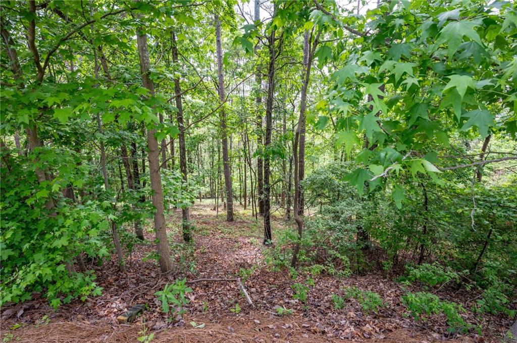 25 Sunset Ridge Cartersville, GA 30121 - Photo 10 of 16 a view of outdoor space and green space