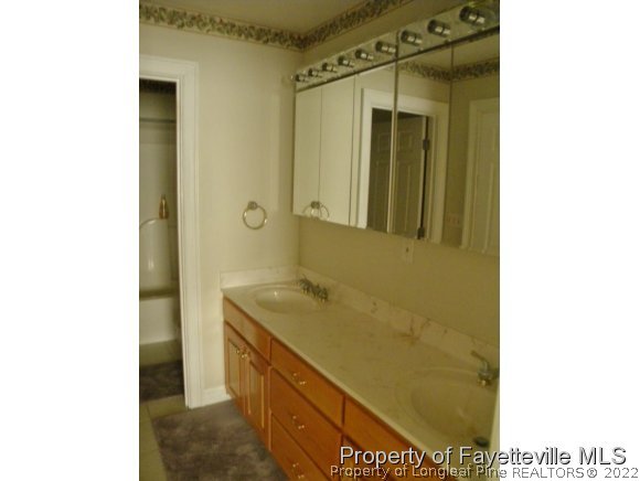1059 McGougan Road Lumber Bridge, NC 28357 - Photo 23 of 25 a bathroom with a sink and a mirror