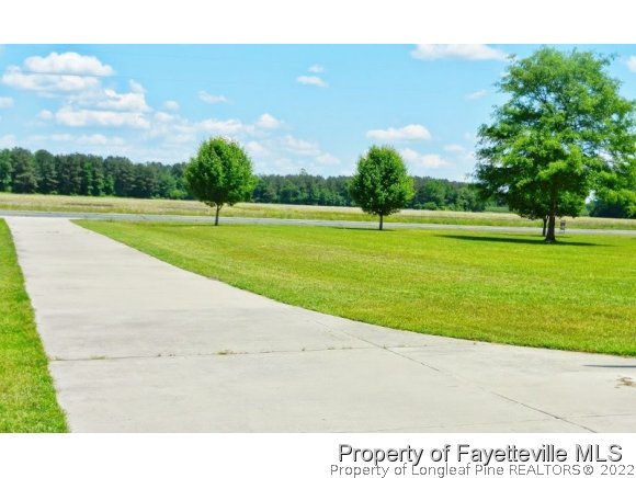 1059 McGougan Road Lumber Bridge, NC 28357 - Photo 3 of 25 a view of a golf course with a lake