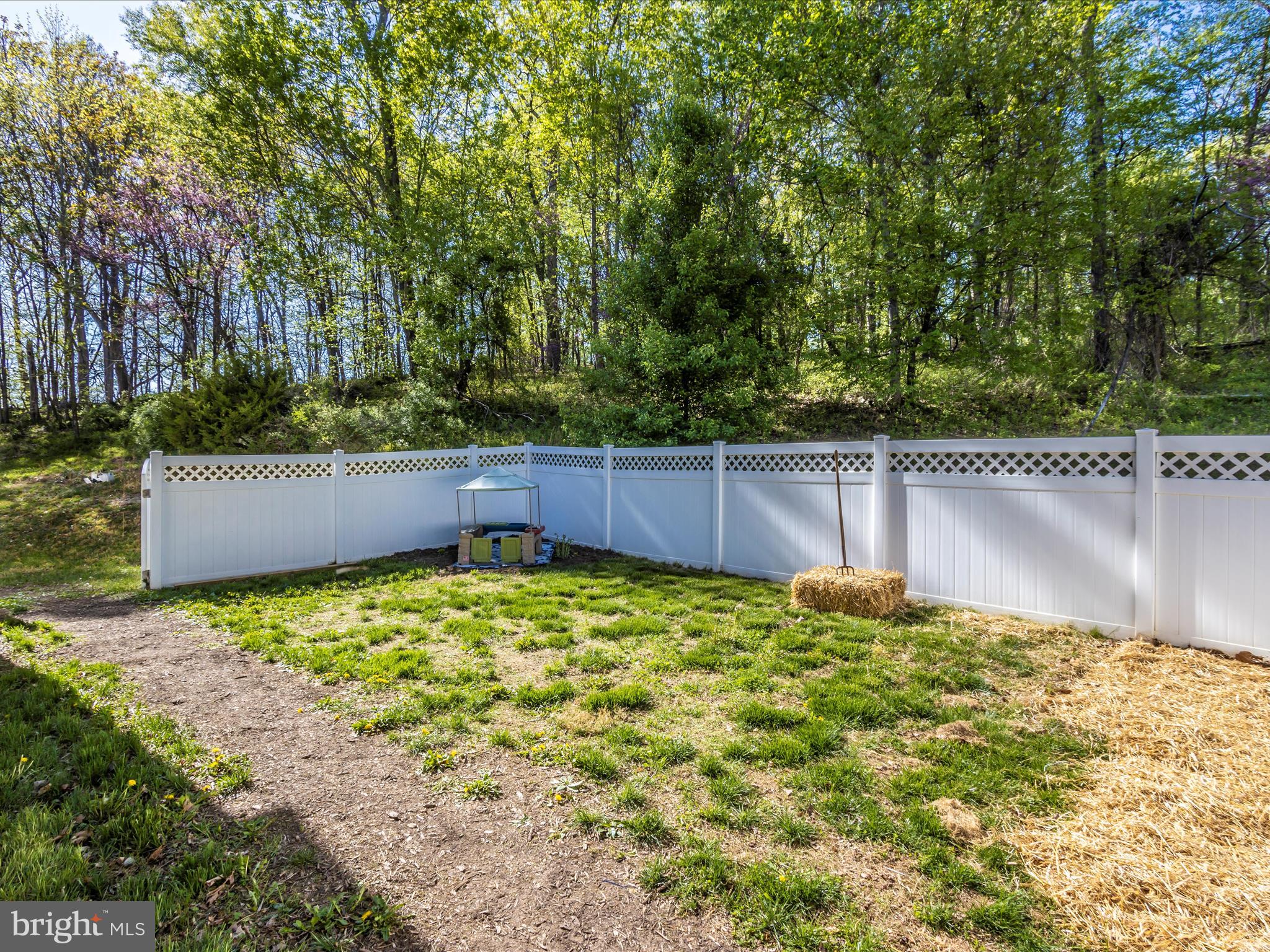 6328 Yeagertown Road New Market, MD 21774 - Photo 47 of 59 Backyard
