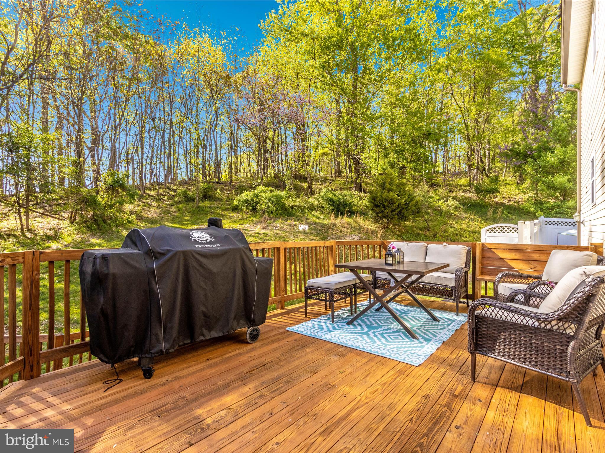 6328 Yeagertown Road New Market, MD 21774 - Photo 51 of 59 Deck