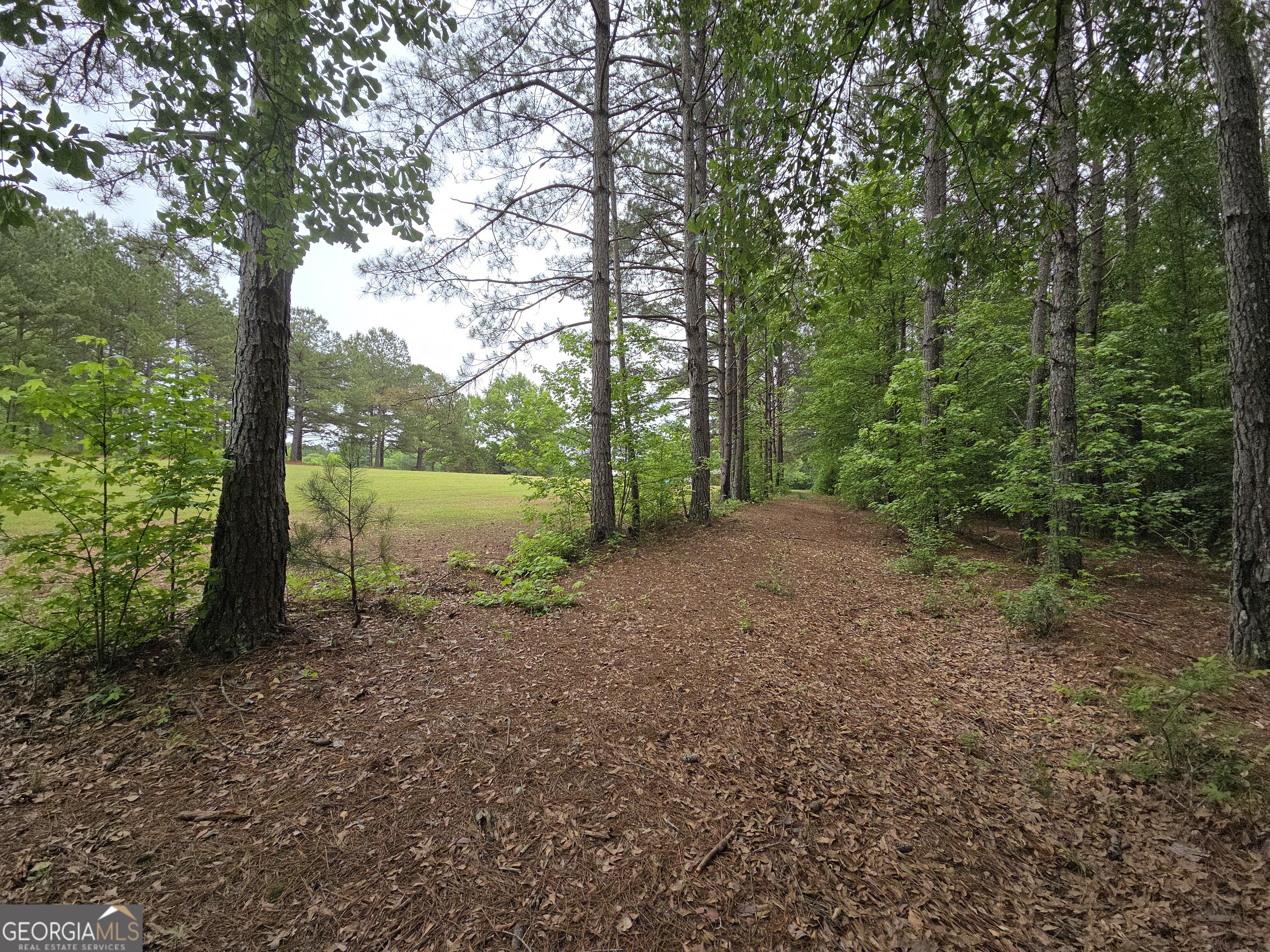 395 East Milner Road Zebulon, GA 30295 - Photo 57 of 66