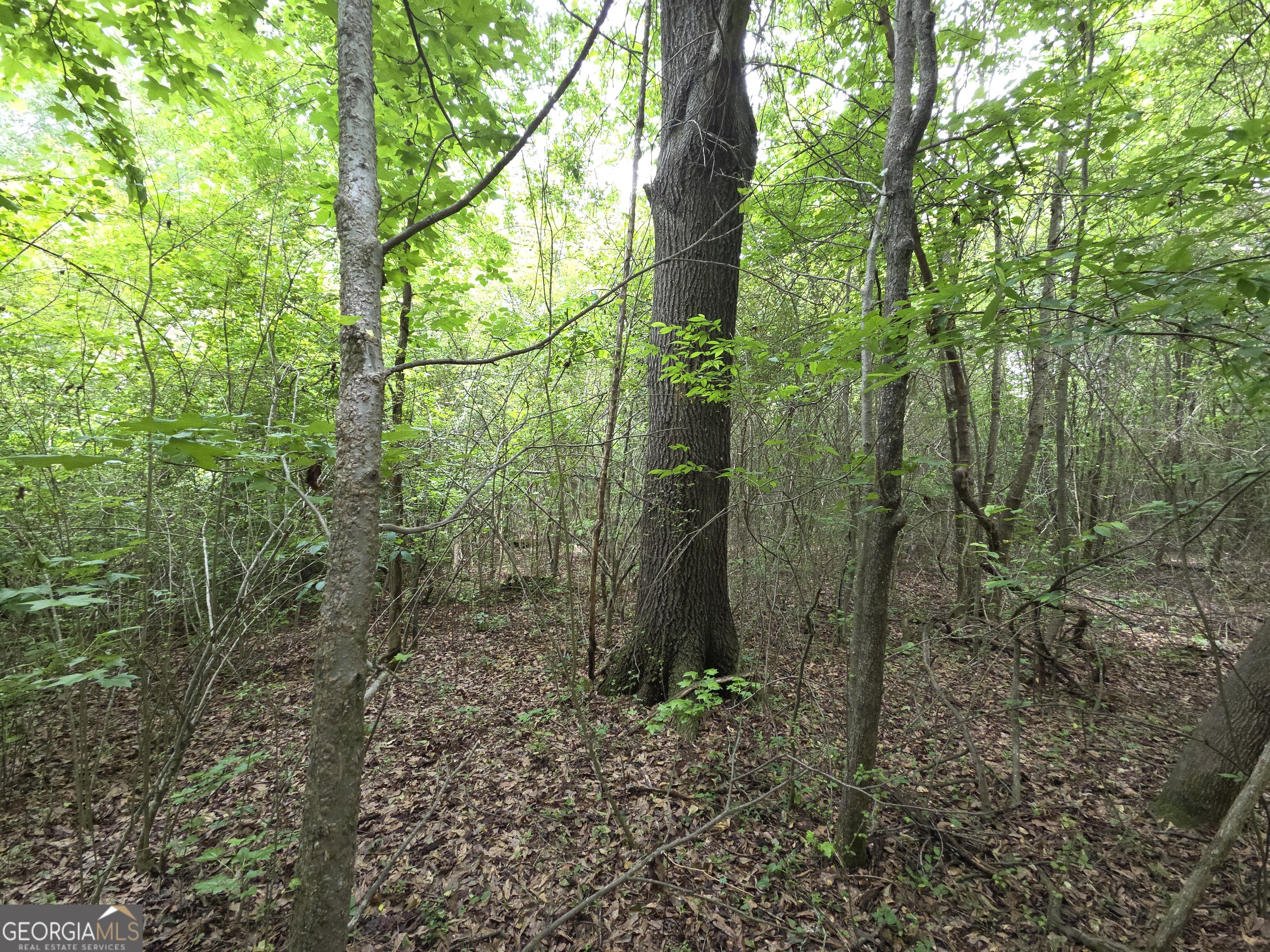 395 East Milner Road Zebulon, GA 30295 - Photo 60 of 66