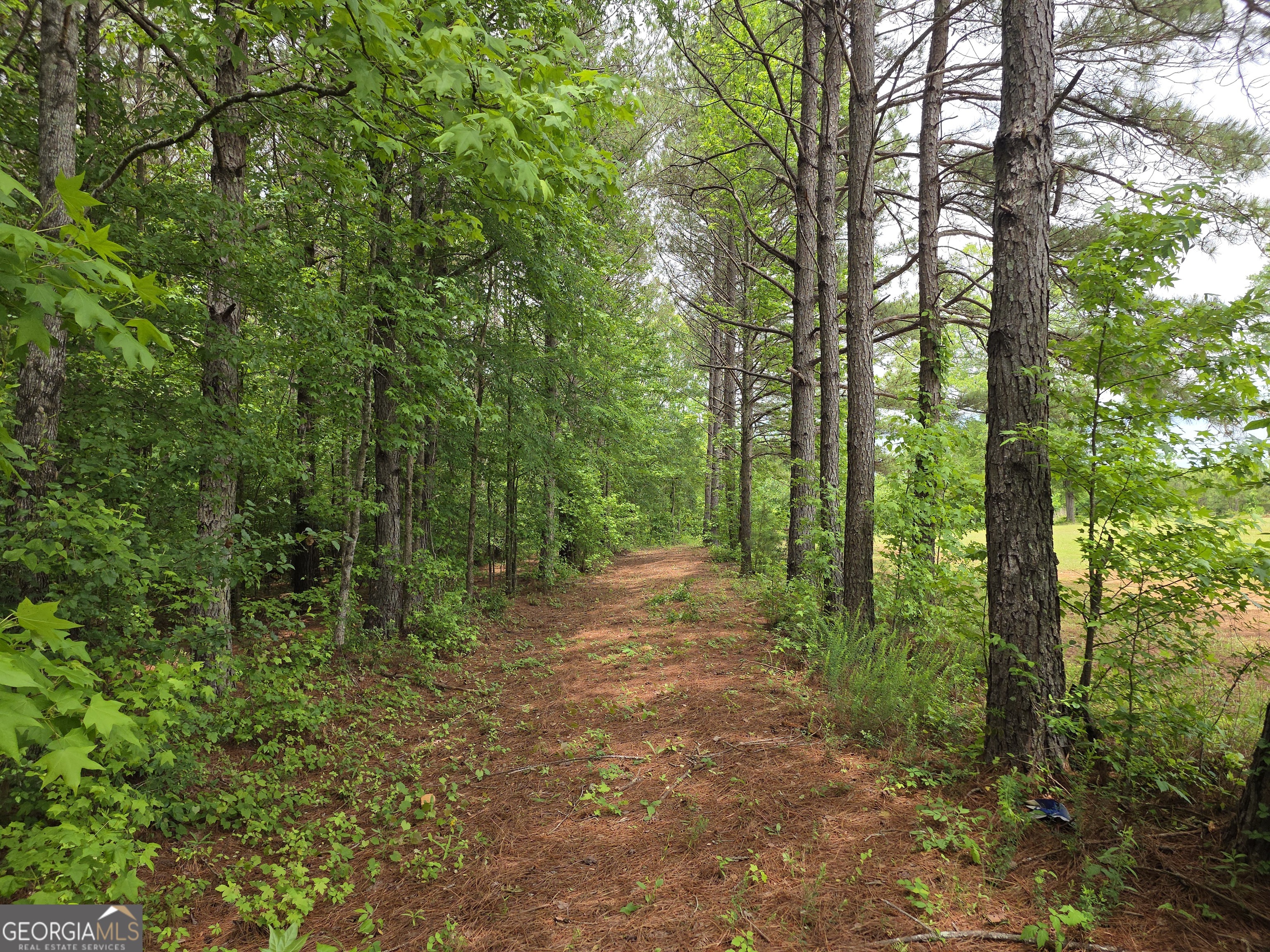 395 East Milner Road Zebulon, GA 30295 - Photo 61 of 66