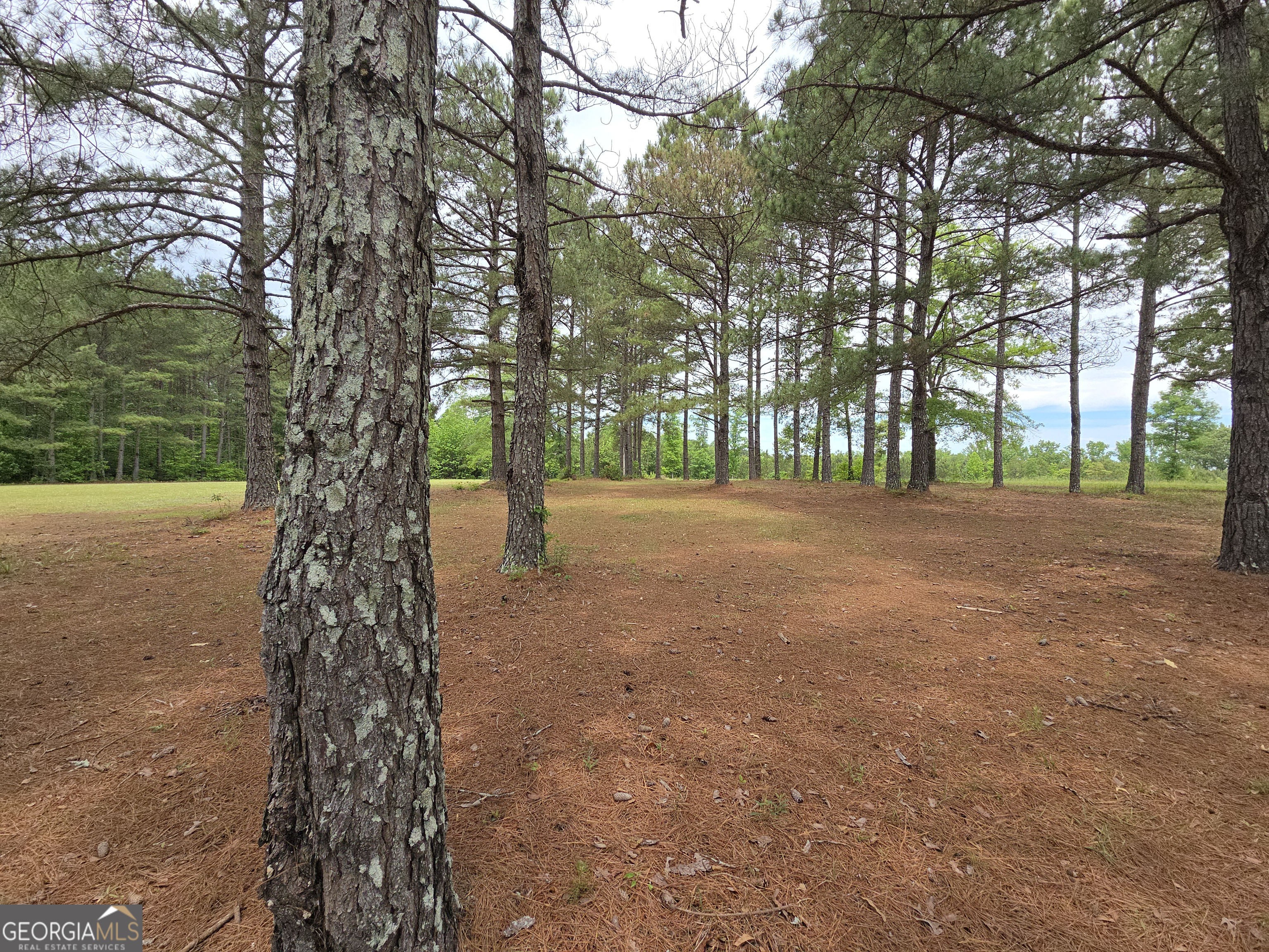 395 East Milner Road Zebulon, GA 30295 - Photo 62 of 66