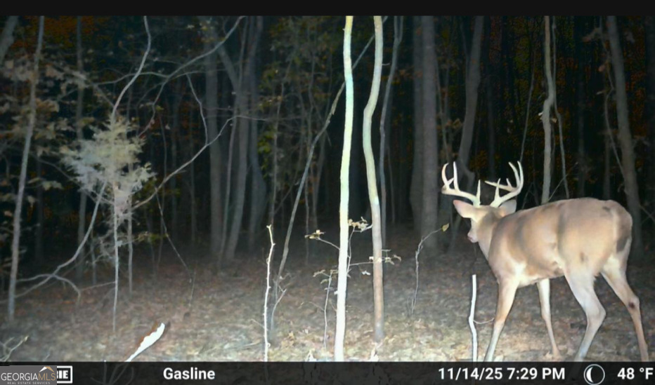 395 East Milner Road Zebulon, GA 30295 - Photo 64 of 66