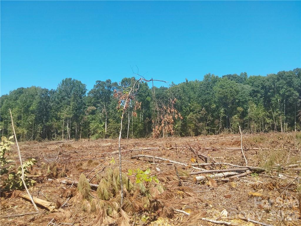 1209 Requa Road Cherryville, NC 28021 - Photo 13 of 26