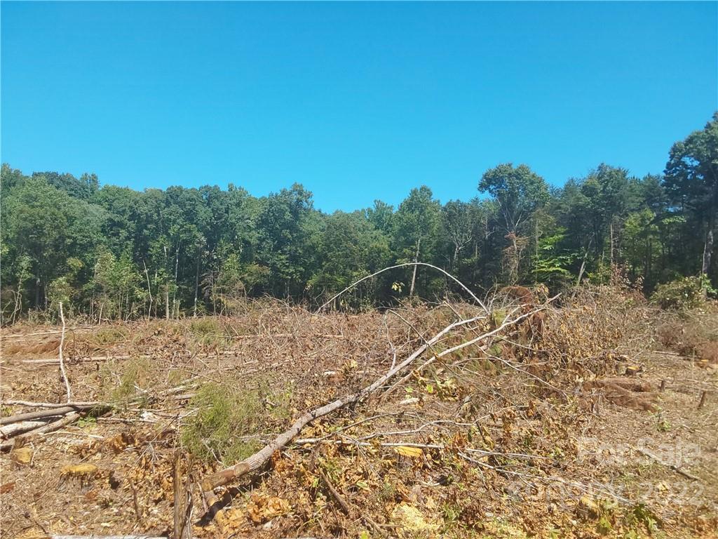 1209 Requa Road Cherryville, NC 28021 - Photo 14 of 25