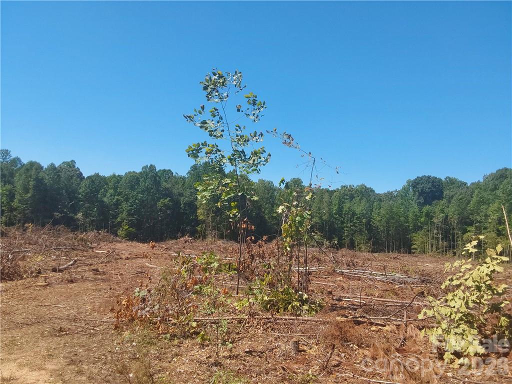 1209 Requa Road Cherryville, NC 28021 - Photo 14 of 26