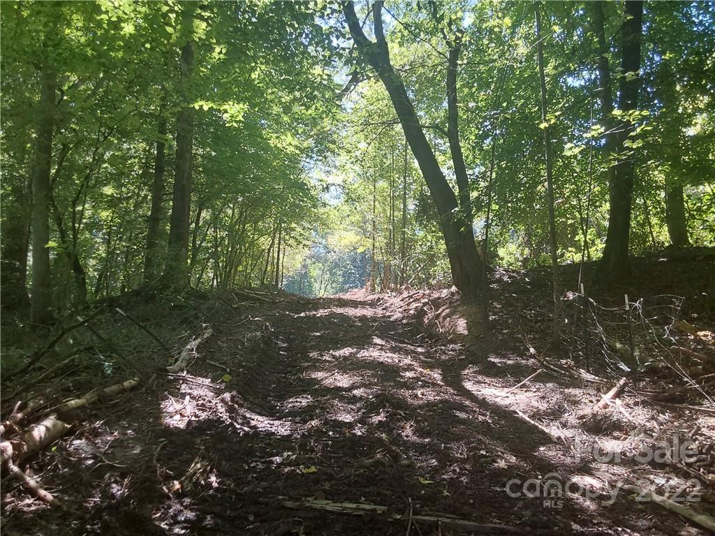 1209 Requa Road Cherryville, NC 28021 - Photo 15 of 25