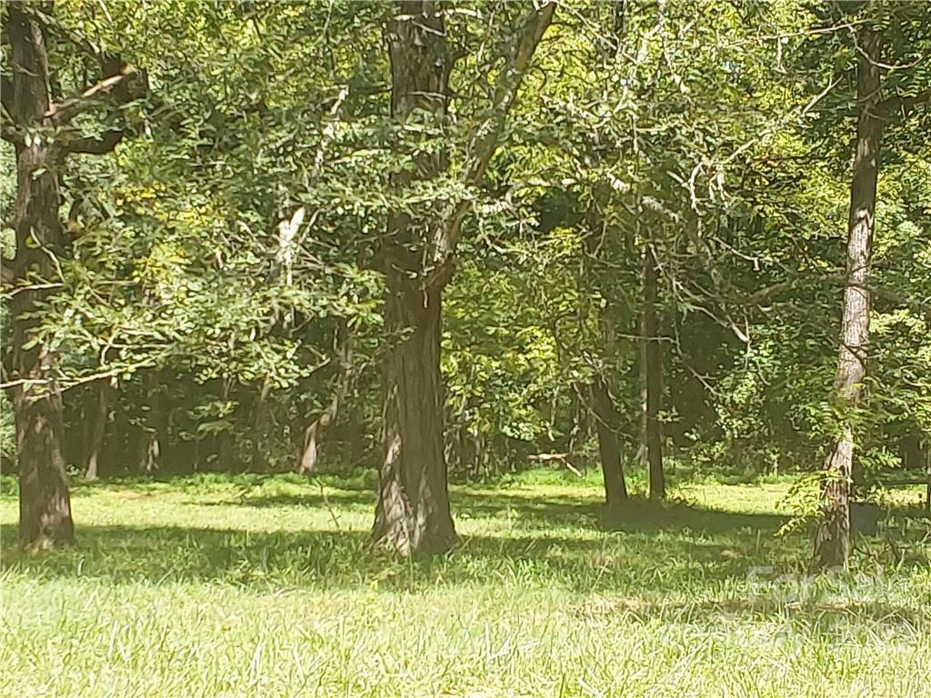 1209 Requa Road Cherryville, NC 28021 - Photo 18 of 25