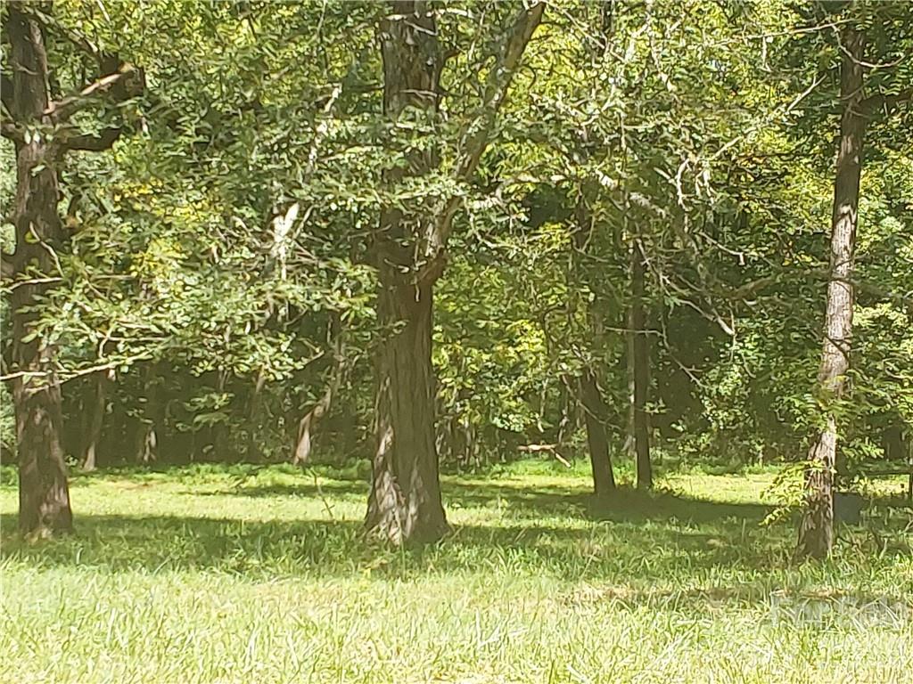 1209 Requa Road Cherryville, NC 28021 - Photo 19 of 26