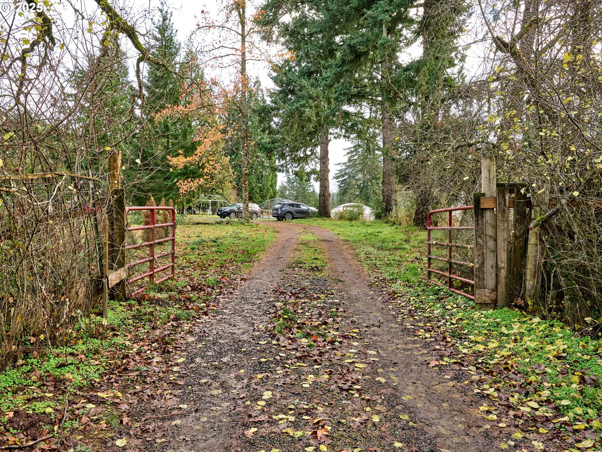20788 Hazelnut Ridge Road Scotts Mills, OR 97375 - Photo 2 of 46 a backyard of a house with lots of green space