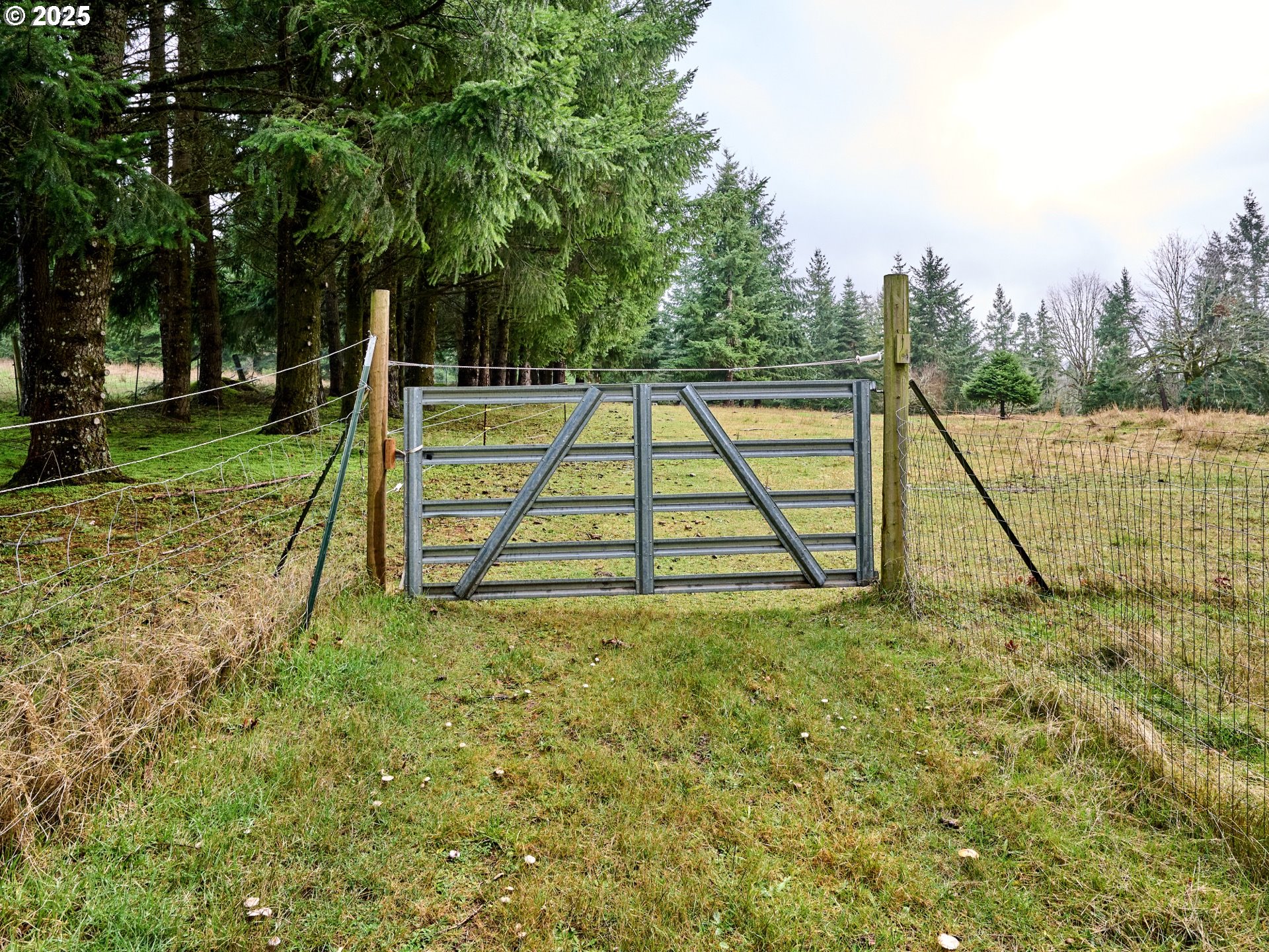 20788 Hazelnut Ridge Road Scotts Mills, OR 97375 - Photo 33 of 46 a view of an house with a park