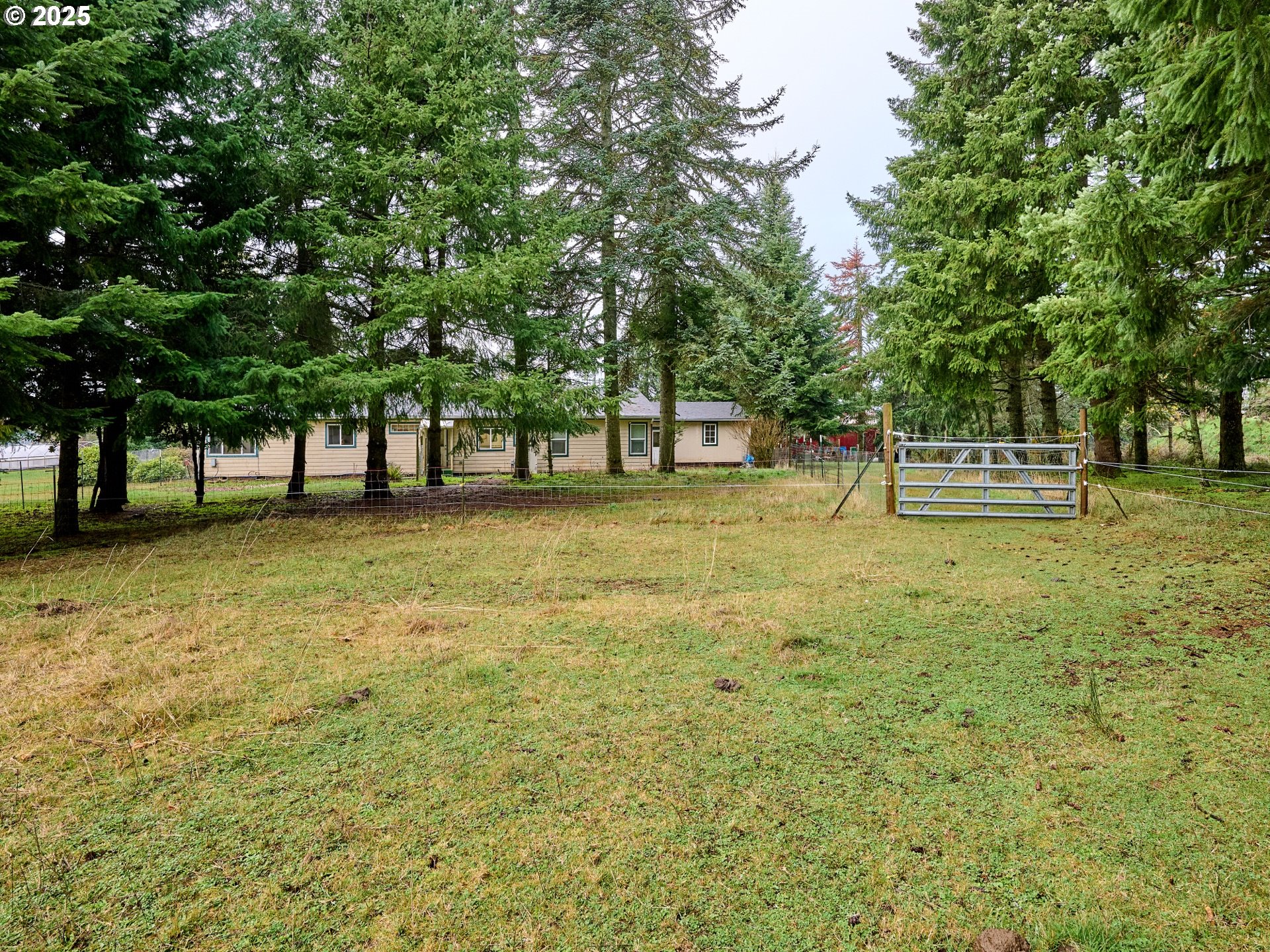 20788 Hazelnut Ridge Road Scotts Mills, OR 97375 - Photo 36 of 46 a view of park with trees