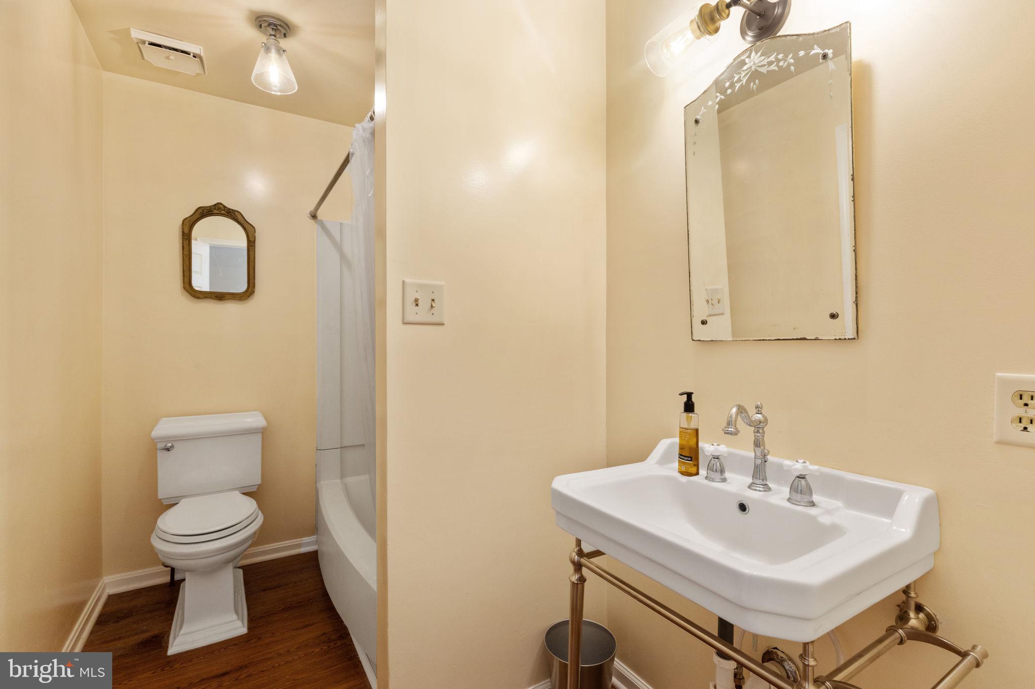286 Ebenezer Road Bluemont, VA 20135 - Photo 21 of 49 Hall bath with tub/shower combo
