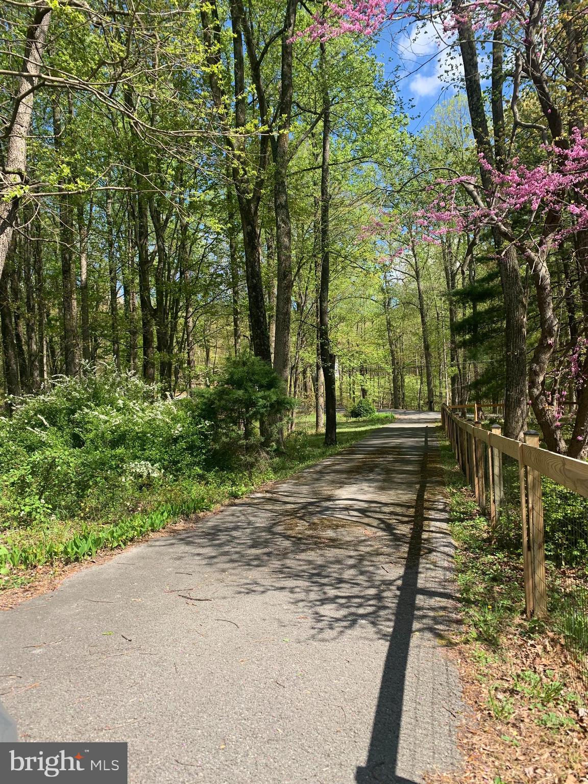 286 Ebenezer Road Bluemont, VA 20135 - Photo 25 of 49 Driveway