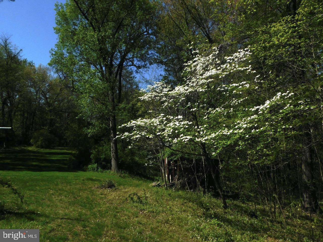 286 Ebenezer Road Bluemont, VA 20135 - Photo 28 of 49