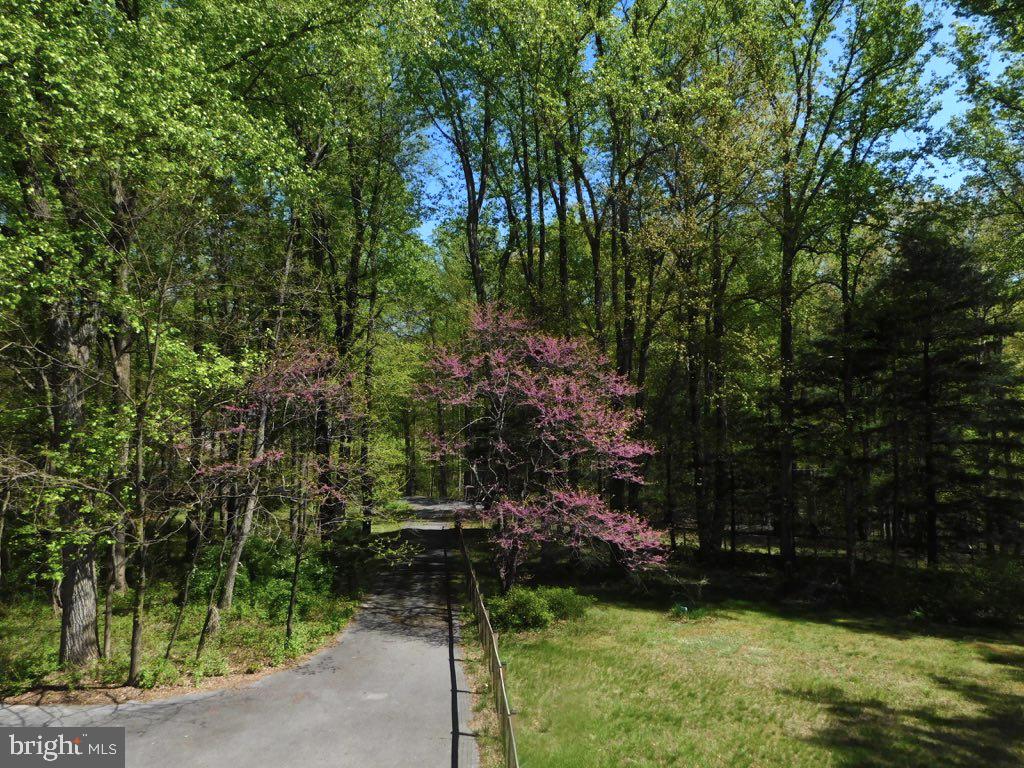 286 Ebenezer Road Bluemont, VA 20135 - Photo 29 of 49