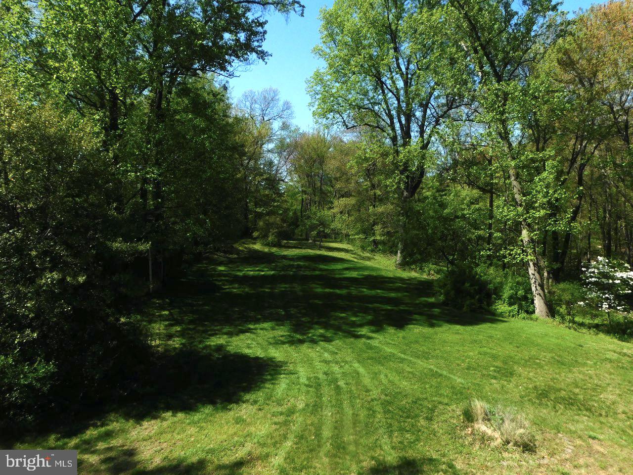 286 Ebenezer Road Bluemont, VA 20135 - Photo 31 of 49