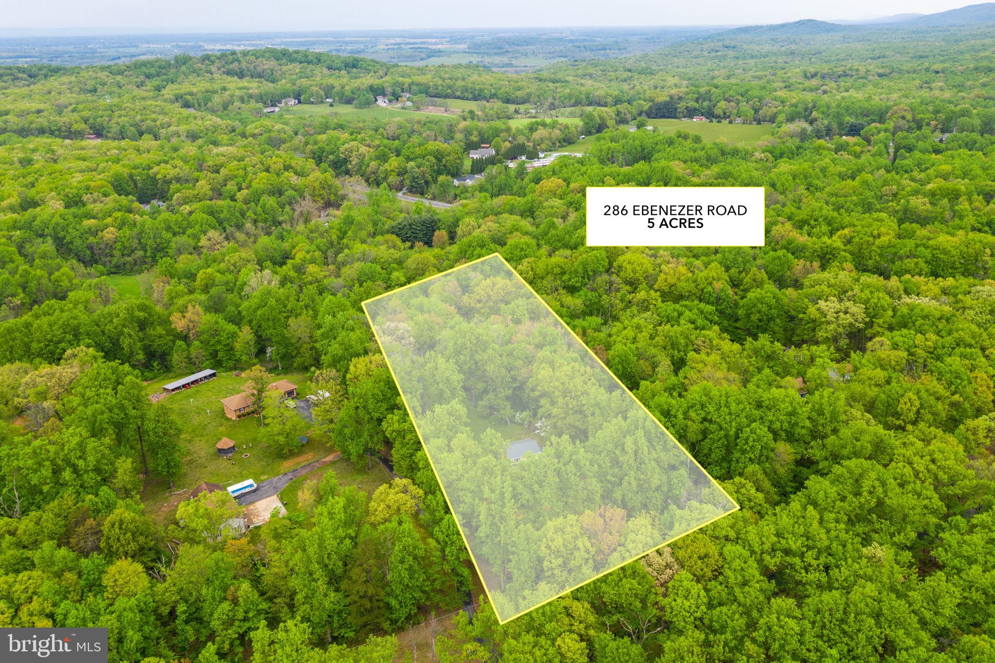 286 Ebenezer Road Bluemont, VA 20135 - Photo 39 of 49 5 acres to roam and plant and play