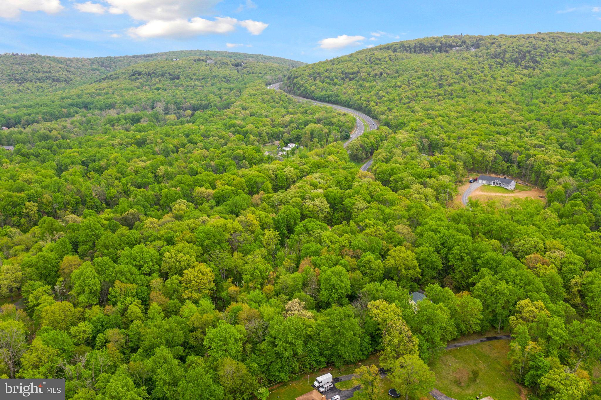 286 Ebenezer Road Bluemont, VA 20135 - Photo 43 of 49 Looking East towards Appalachian Trail & Bear'sDen