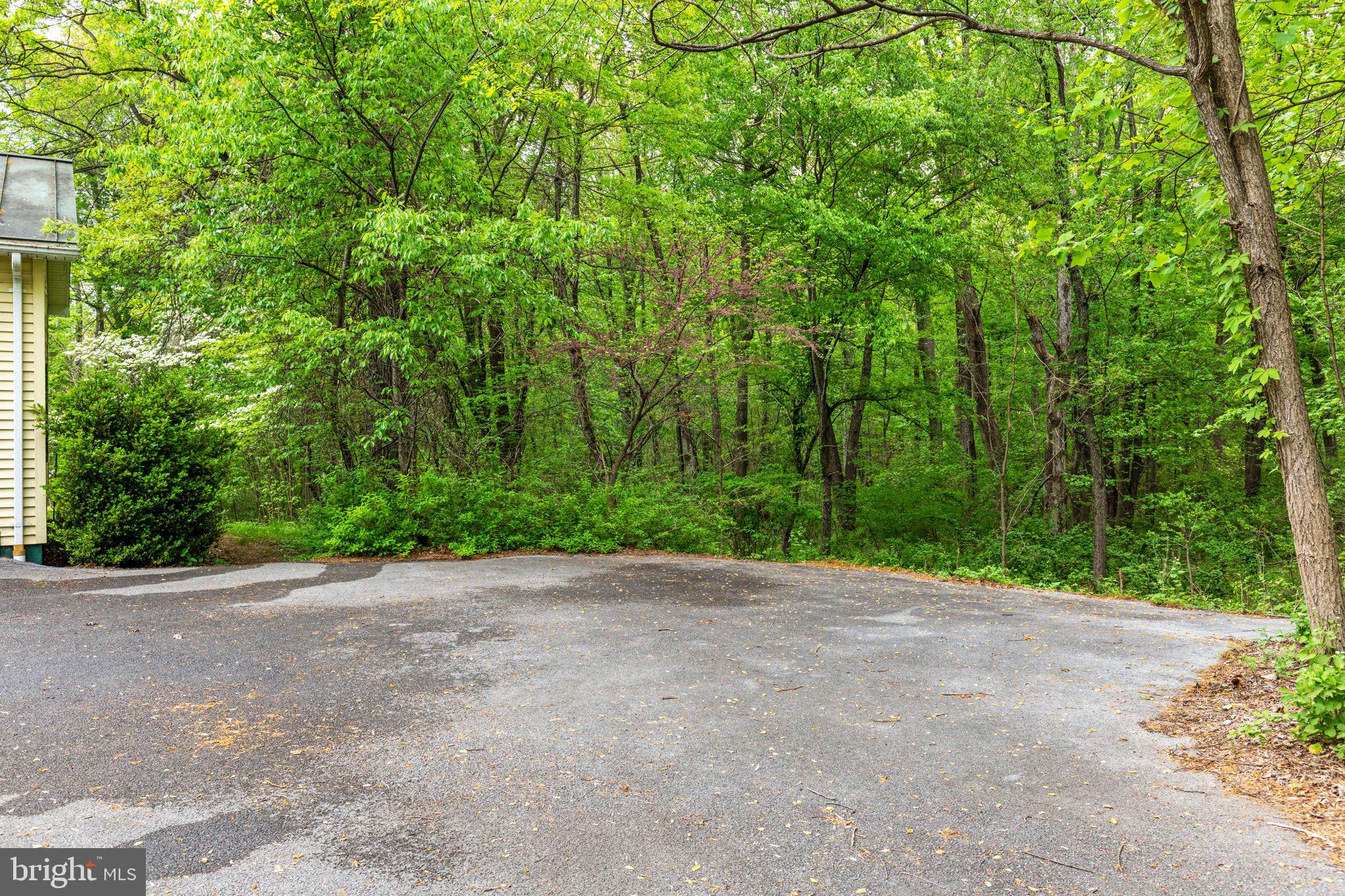 286 Ebenezer Road Bluemont, VA 20135 - Photo 44 of 49 Lots of room for extra vehicles to park