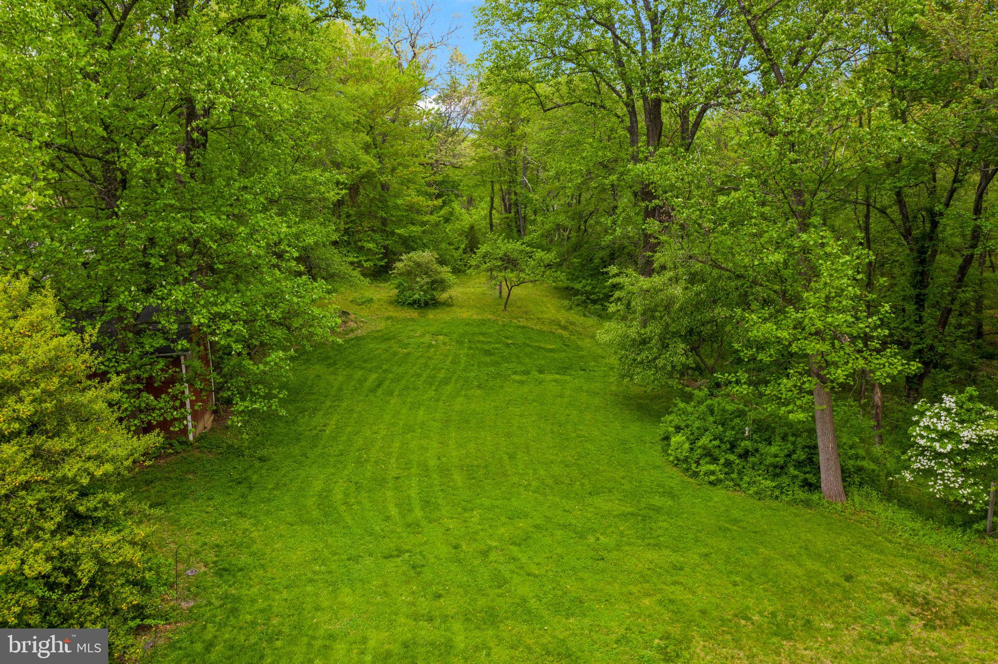 286 Ebenezer Road Bluemont, VA 20135 - Photo 47 of 49 Open space in backyar